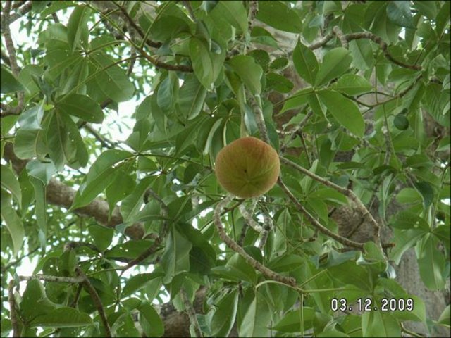 image018