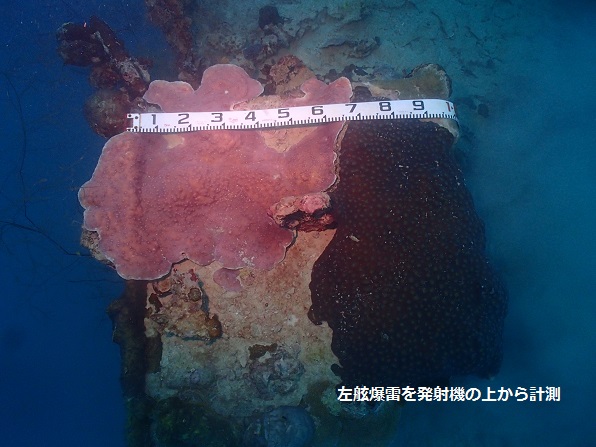PB090010