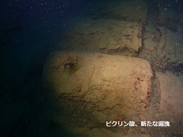 ピクリン酸漏洩11