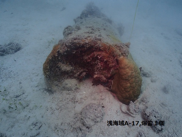 浅海域の爆雷
