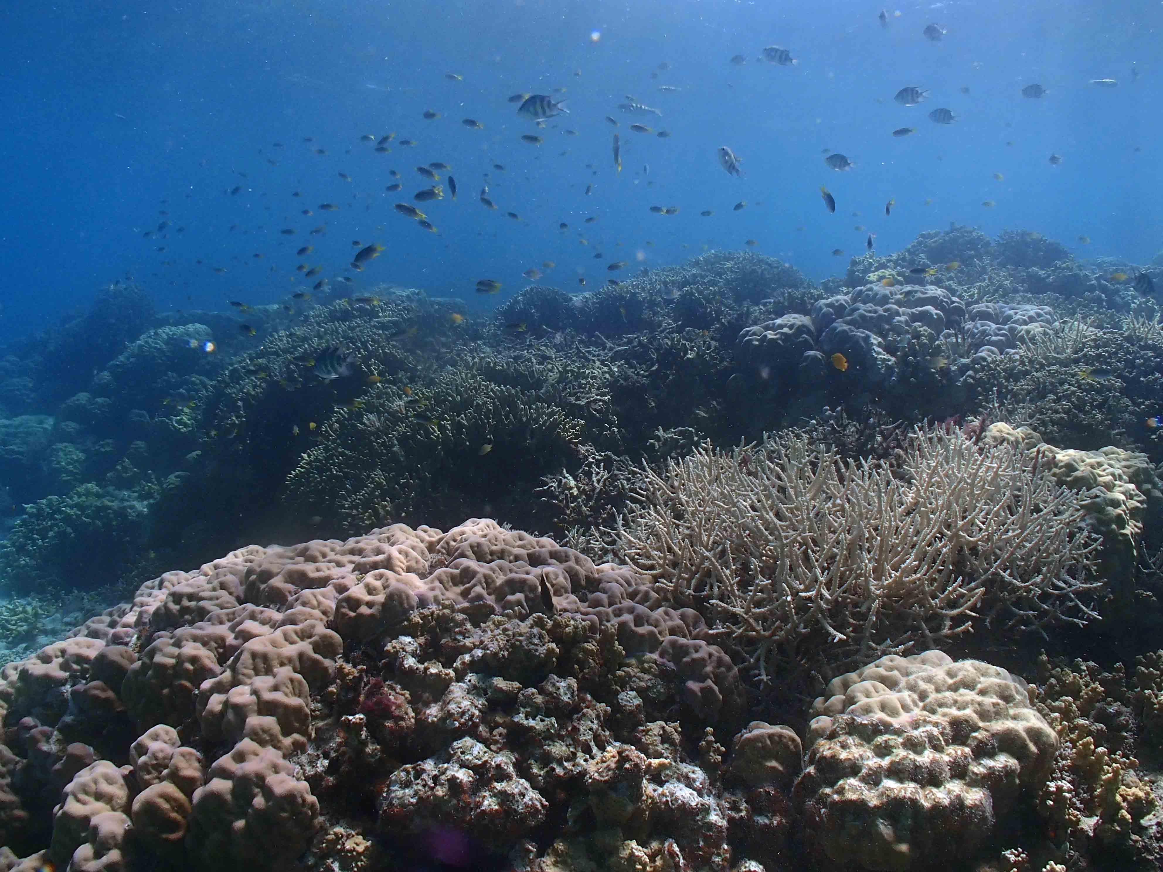 P2080015
